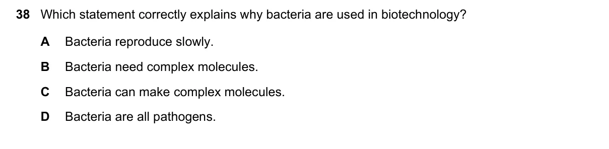 Question 38, June 2019, 0610 Paper 12