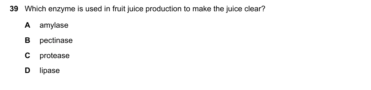 Question 39, June 2019, 0610 Paper 12