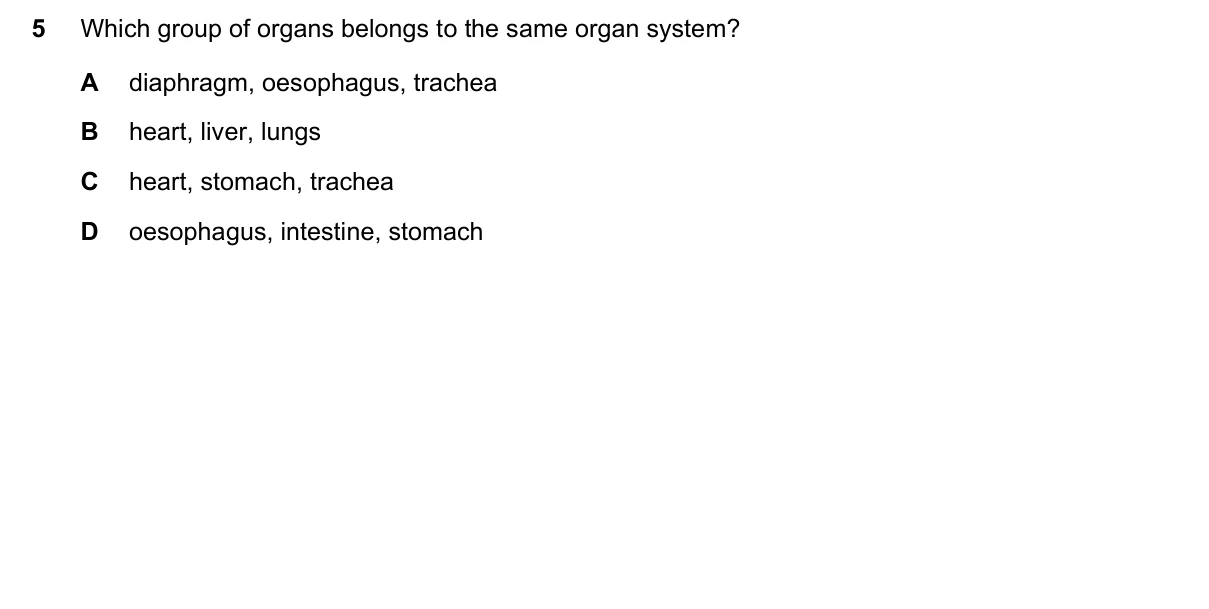 Question 5, June 2019, 0610 Paper 12