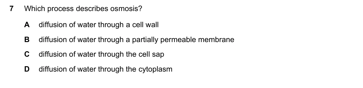 Question 7, June 2019, 0610 Paper 12