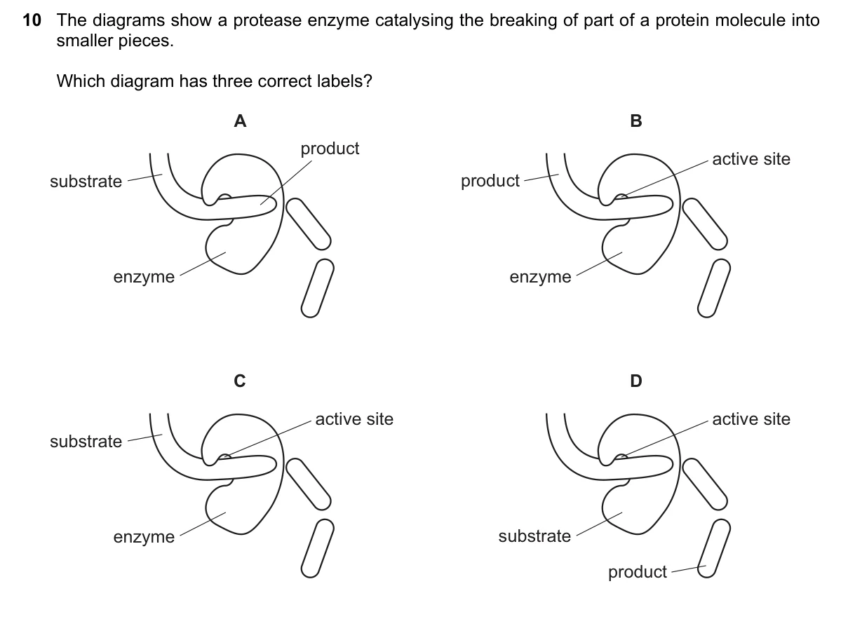 Question 10, June 2019, 0610 Paper 22
