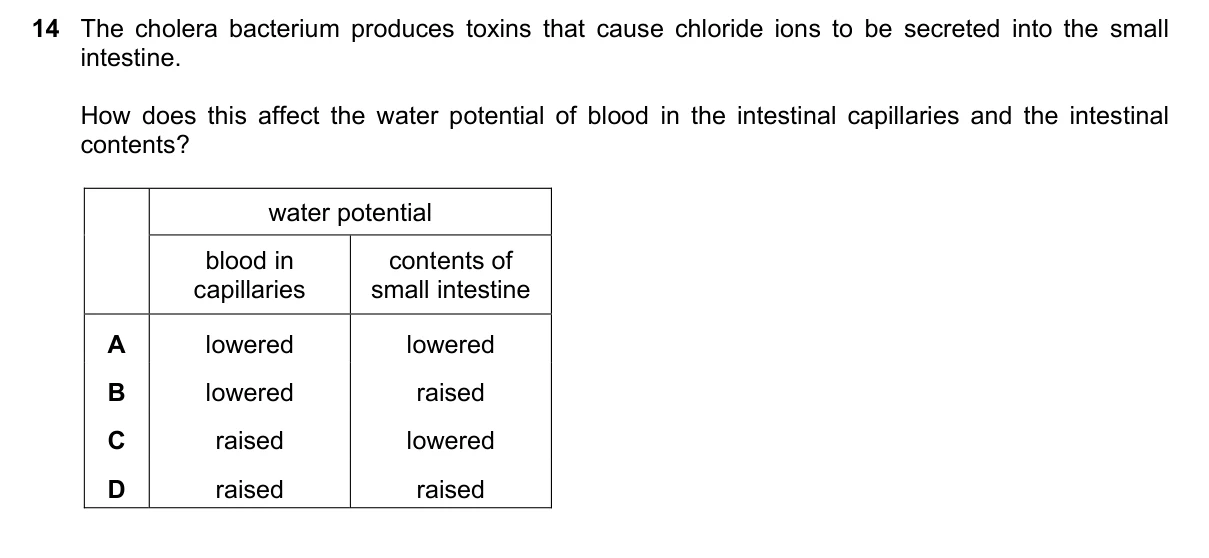 Question 14, June 2019, 0610 Paper 22