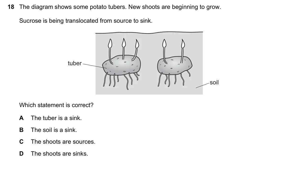 Question 18, June 2019, 0610 Paper 22