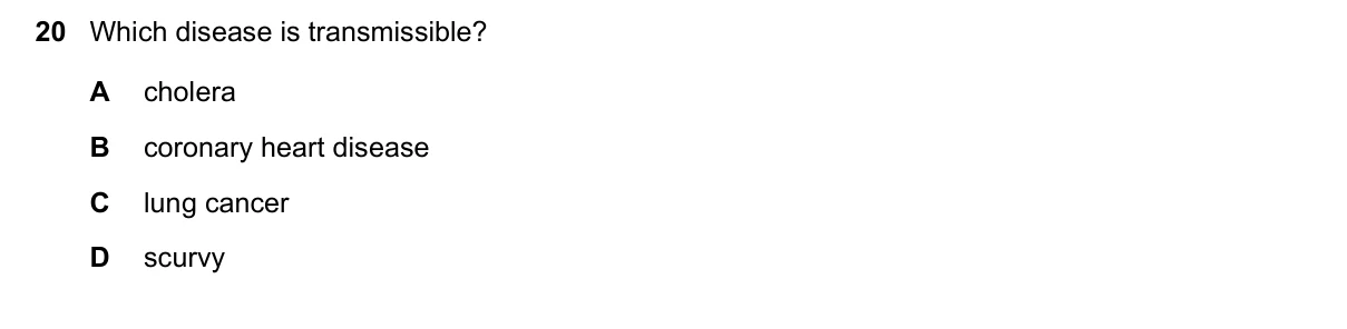 Question 20, June 2019, 0610 Paper 22