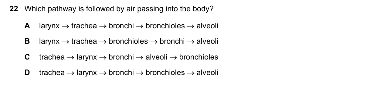 Question 22, June 2019, 0610 Paper 22