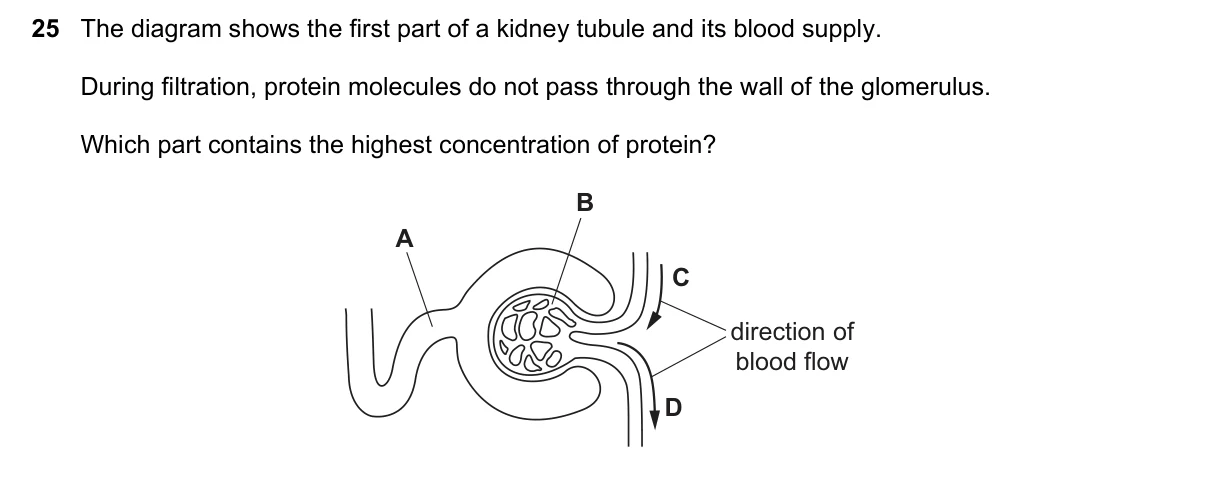 Question 25, June 2019, 0610 Paper 22