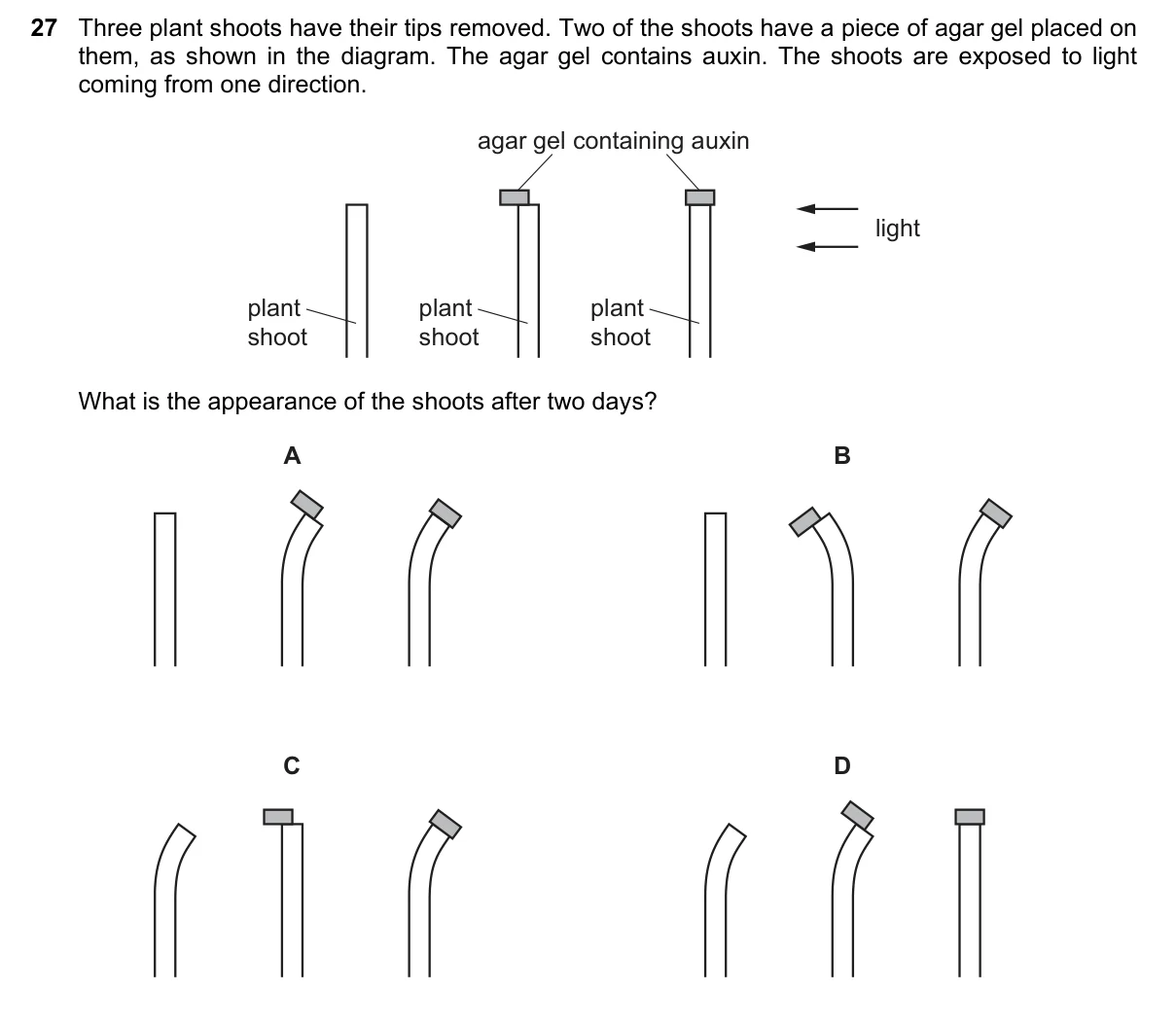 Question 27, June 2019, 0610 Paper 22