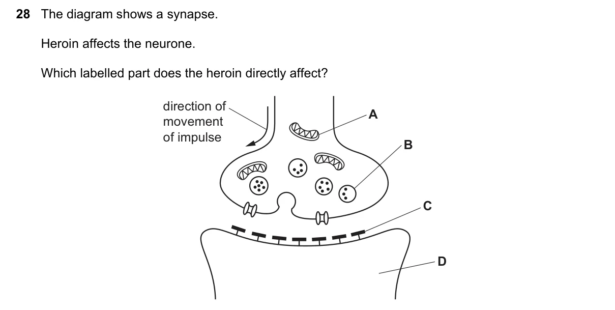 Question 28, June 2019, 0610 Paper 22