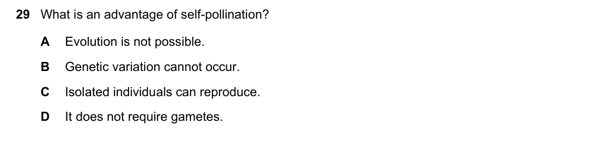 Question 29, June 2019, 0610 Paper 22