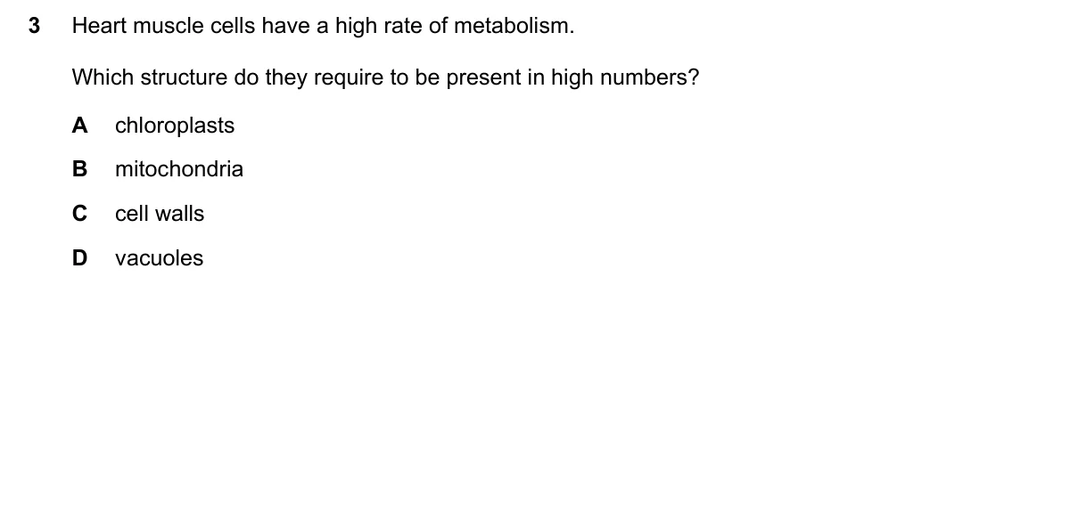 Question 3, June 2019, 0610 Paper 22