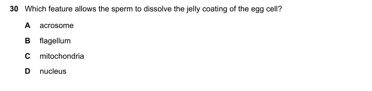 Question 30, June 2019, 0610 Paper 22