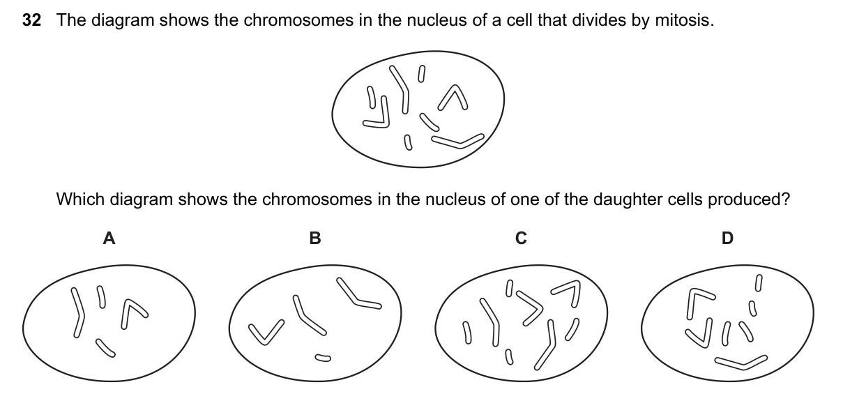 Question 32, June 2019, 0610 Paper 22