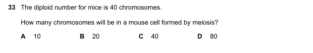 Question 33, June 2019, 0610 Paper 22