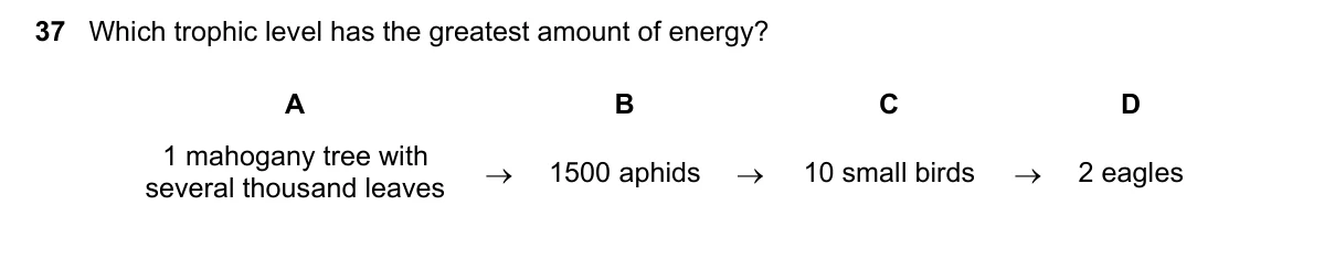 Question 37, June 2019, 0610 Paper 22