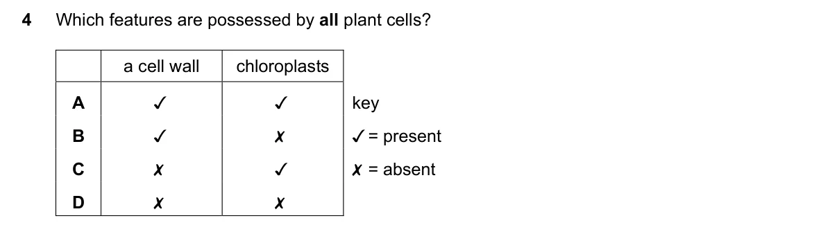 Question 4, June 2019, 0610 Paper 22