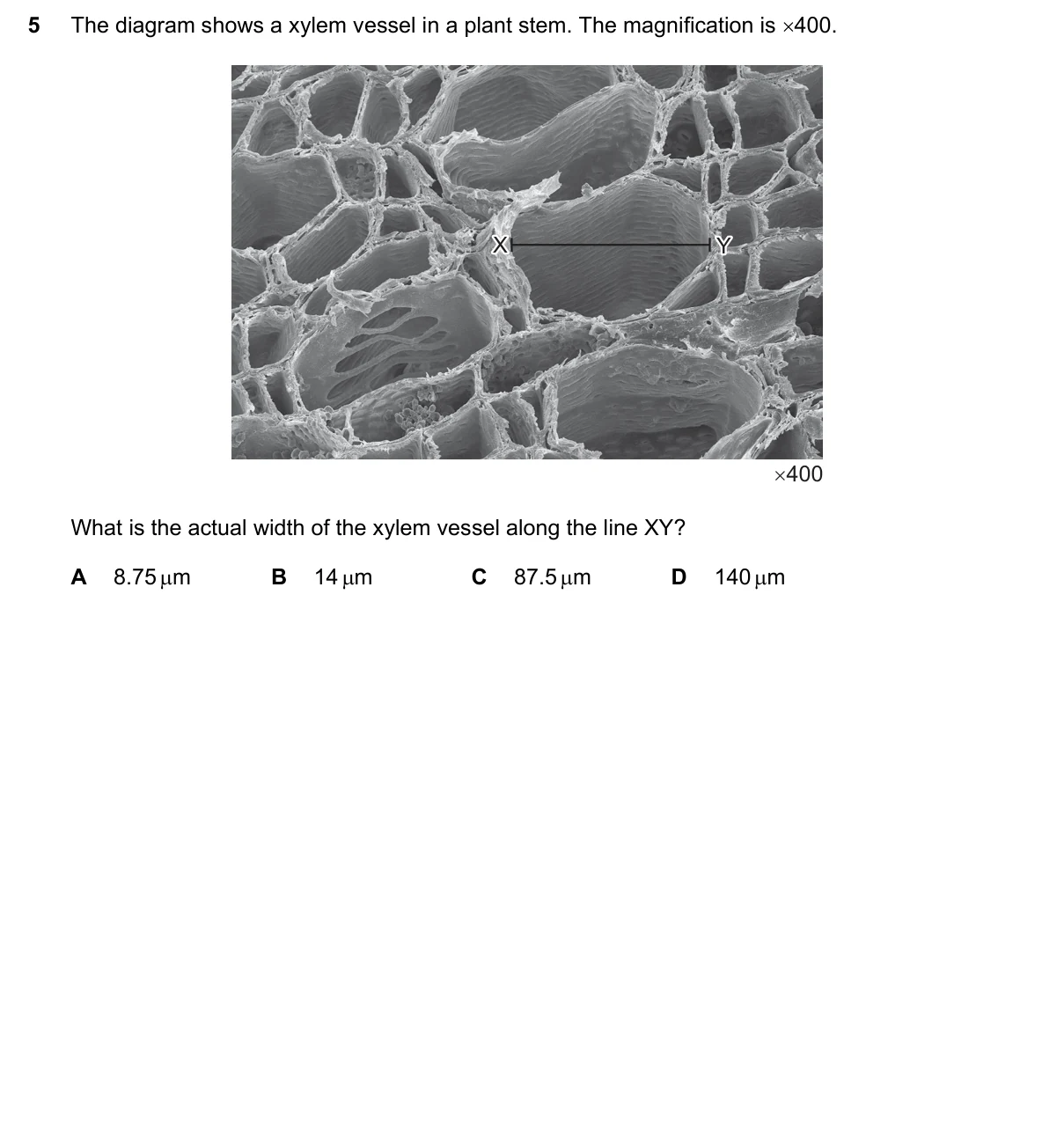 Question 5, June 2019, 0610 Paper 22