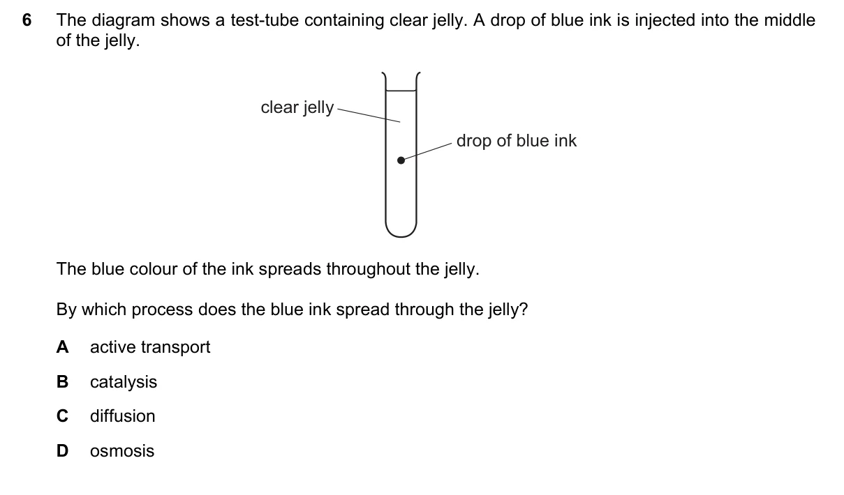 Question 6, June 2019, 0610 Paper 22