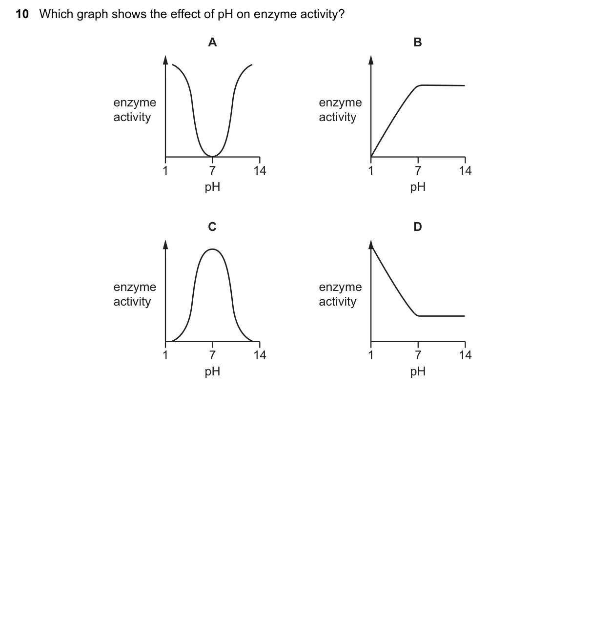 Question 10, June 2019, 0610 Paper 13