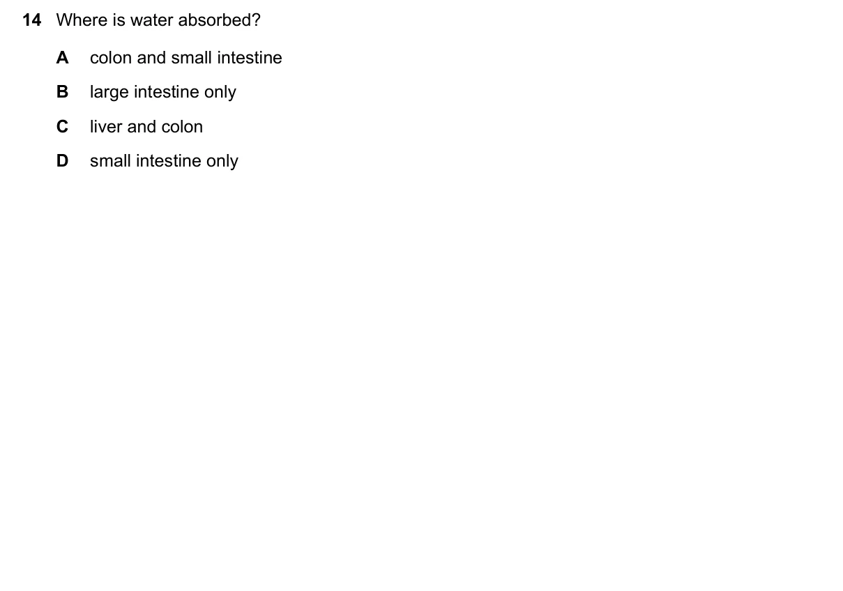 Question 14, June 2019, 0610 Paper 13