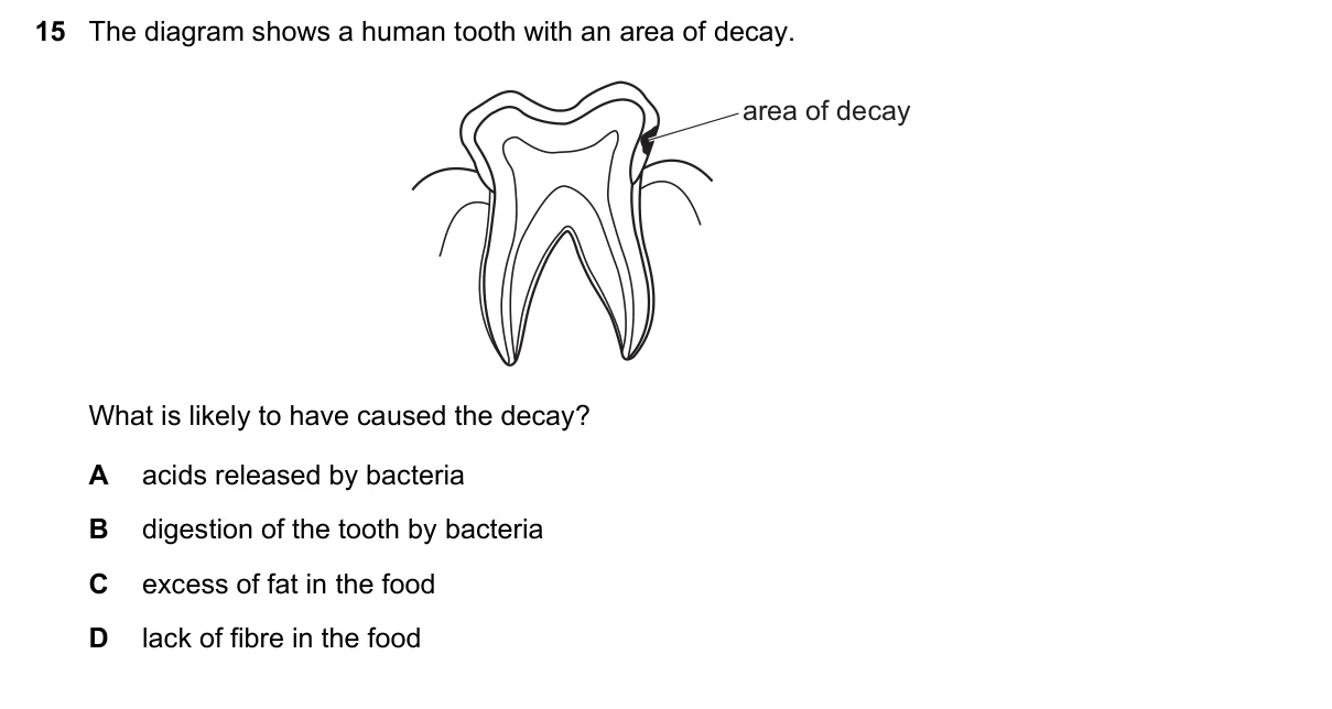 Question 15, June 2019, 0610 Paper 13