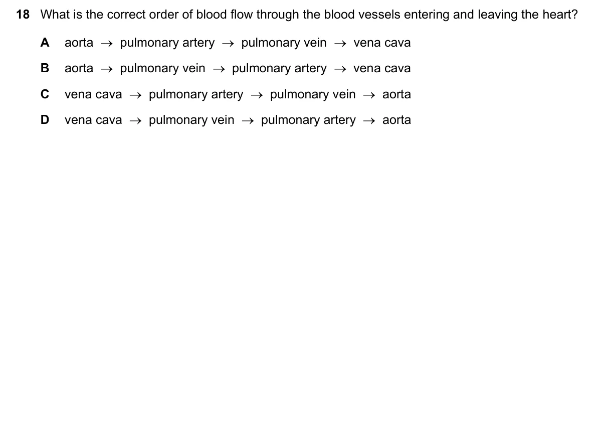 Question 18, June 2019, 0610 Paper 13
