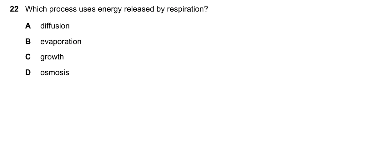 Question 22, June 2019, 0610 Paper 13