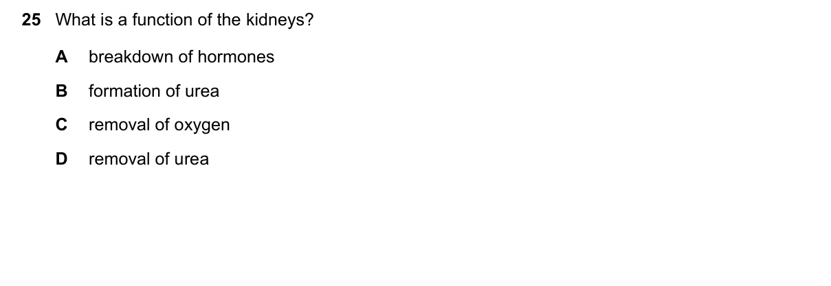 Question 25, June 2019, 0610 Paper 13