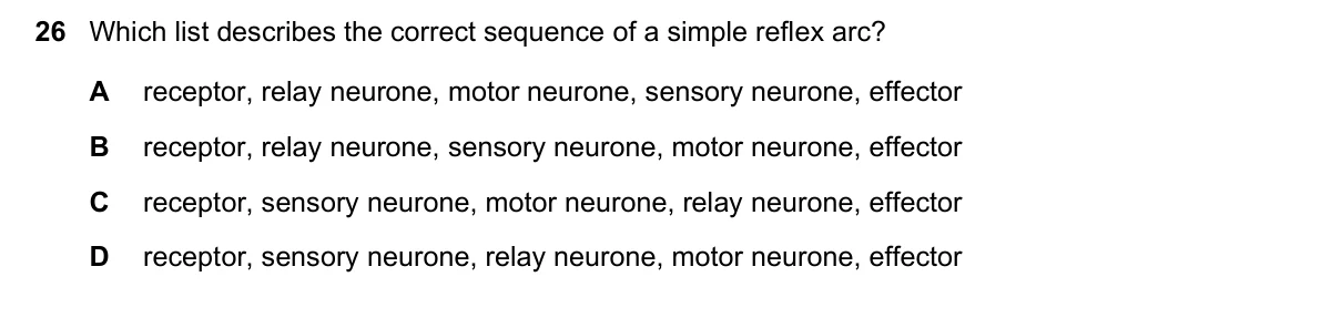 Question 26, June 2019, 0610 Paper 13