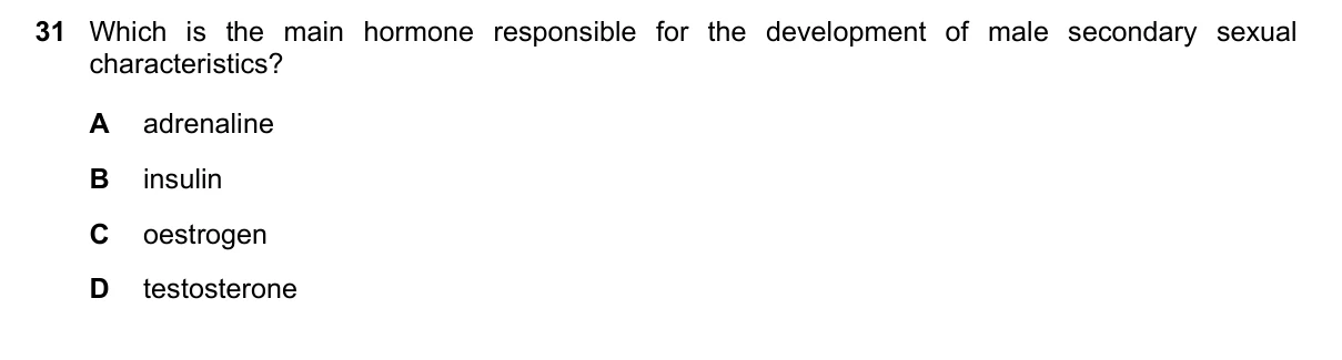 Question 31, June 2019, 0610 Paper 13