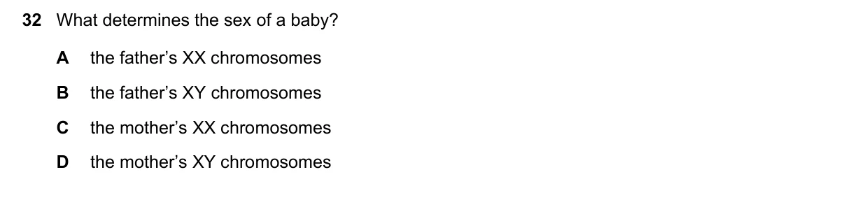Question 32, June 2019, 0610 Paper 13