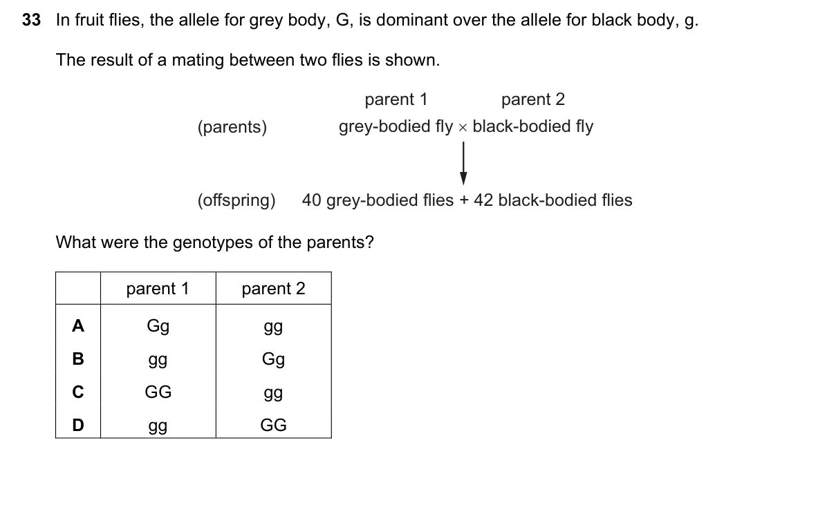 Question 33, June 2019, 0610 Paper 13