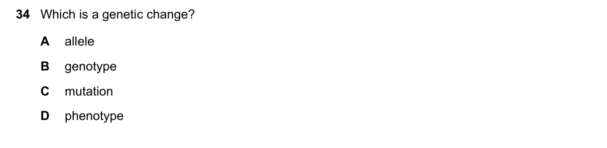 Question 34, June 2019, 0610 Paper 13