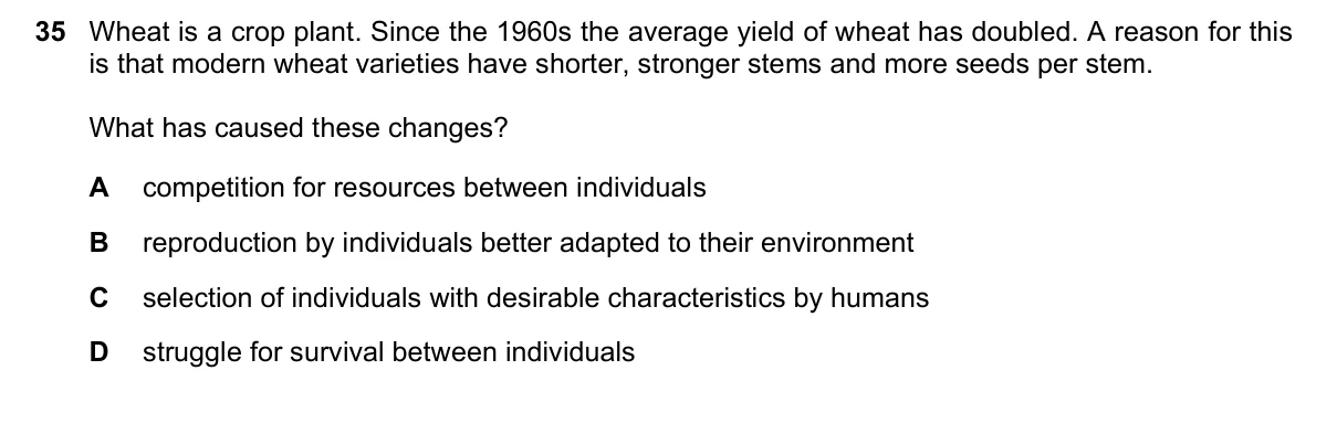 Question 35, June 2019, 0610 Paper 13