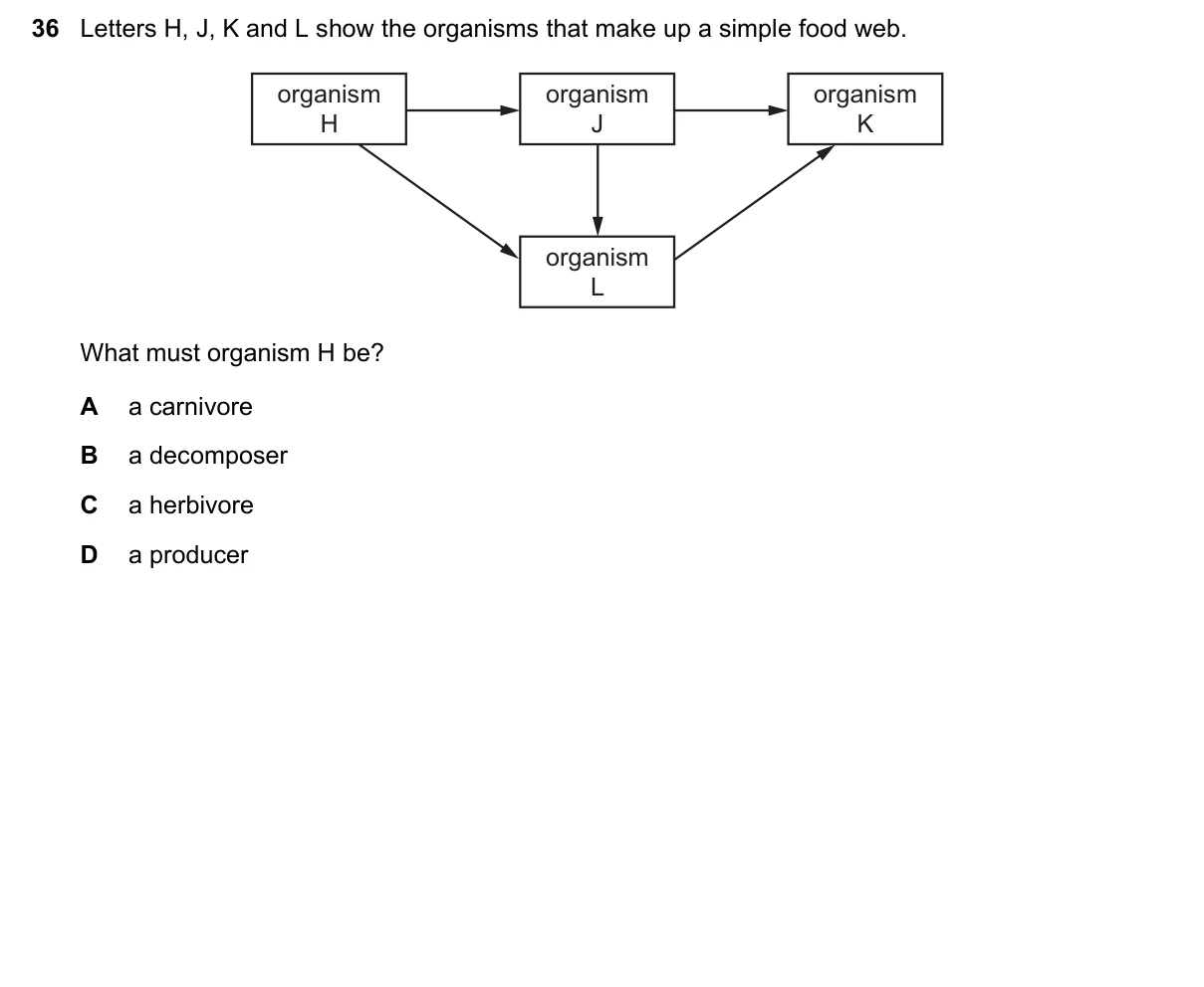 Question 36, June 2019, 0610 Paper 13