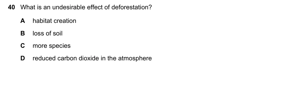 Question 40, June 2019, 0610 Paper 13