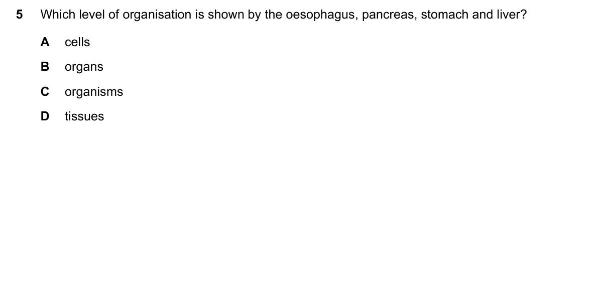 Question 5, June 2019, 0610 Paper 13