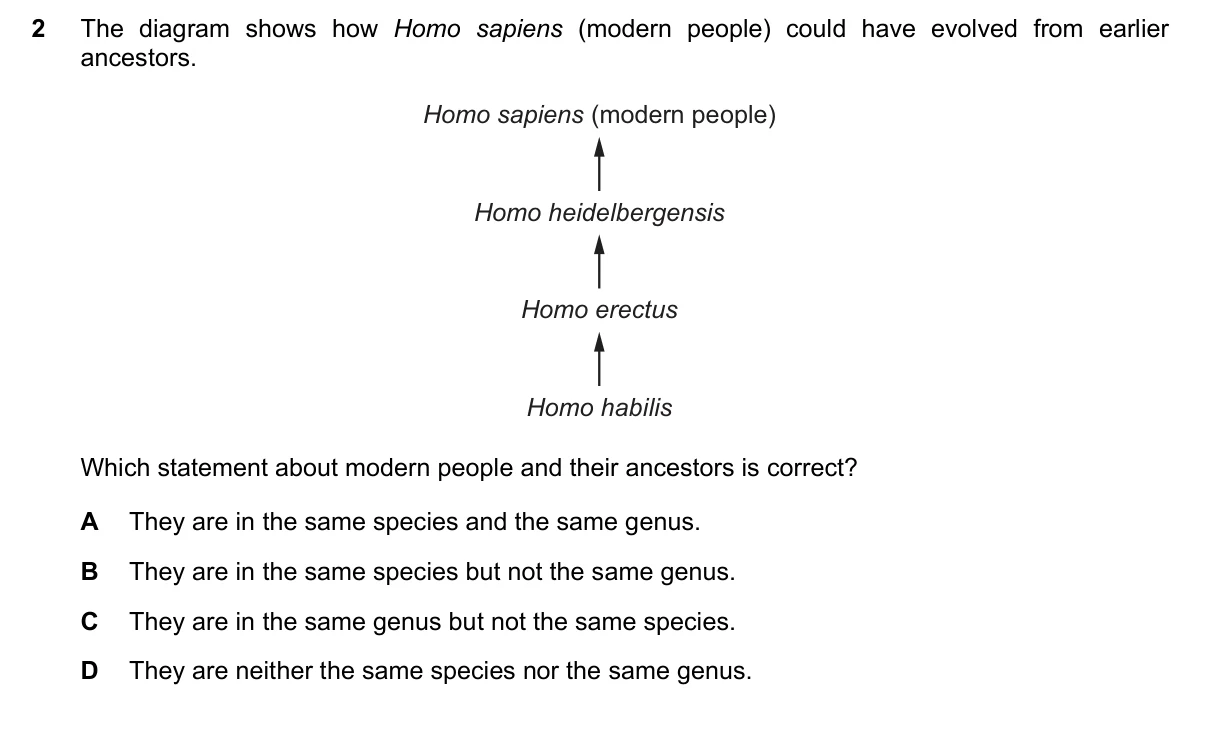 Question 2, June 2019, 0610 Paper 23
