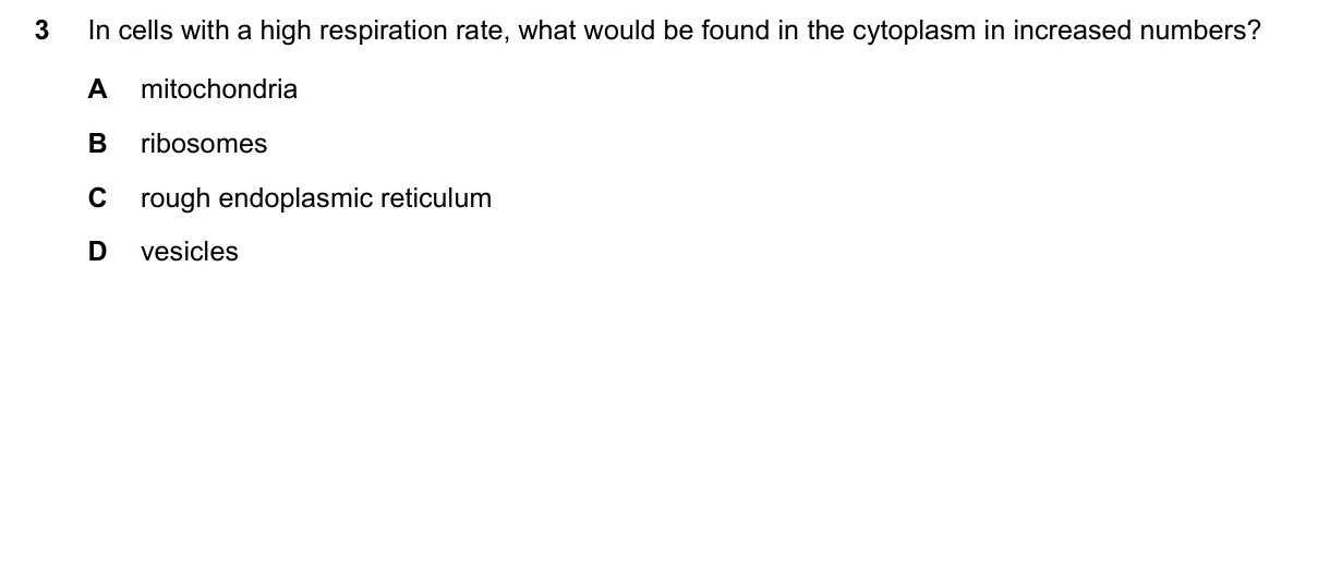 Question 3, June 2019, 0610 Paper 23