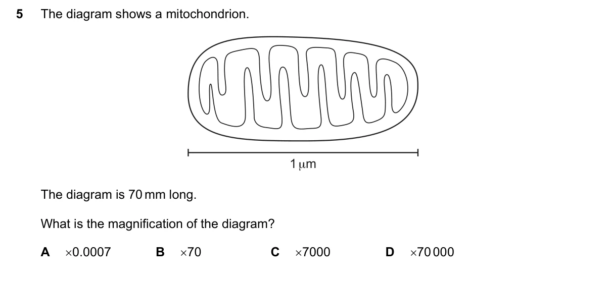 Question 5, June 2019, 0610 Paper 23