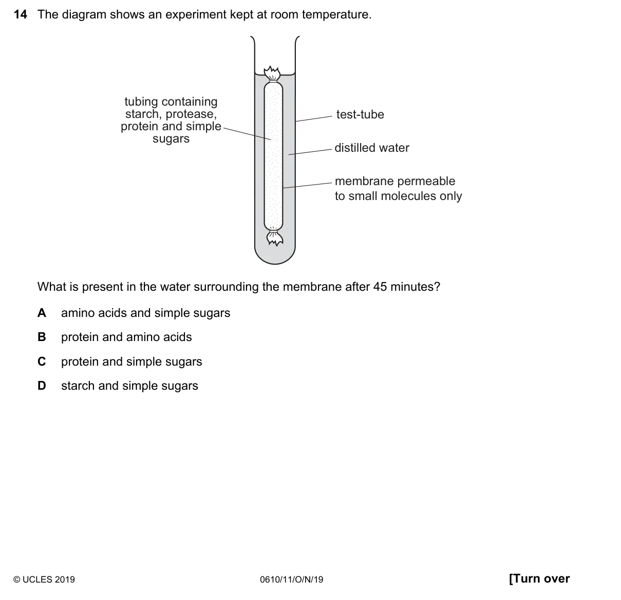 Question 14, November 2019, 0610 Paper 11