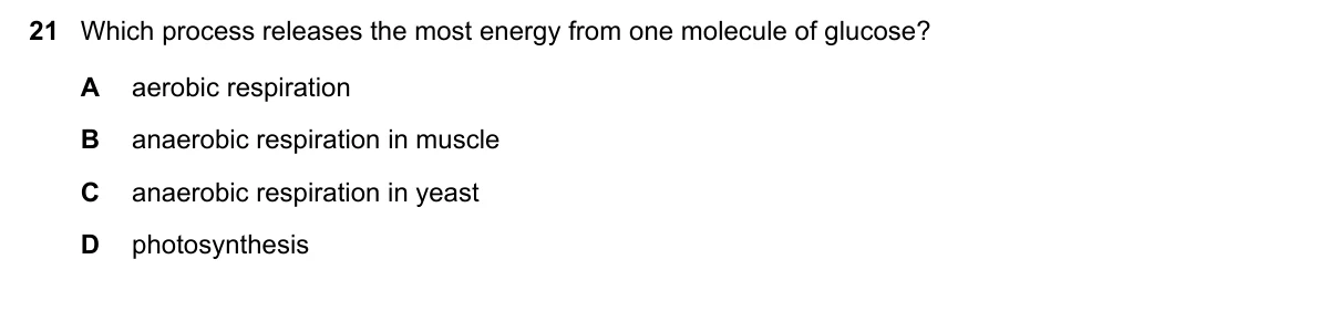 Question 21, November 2019, 0610 Paper 11