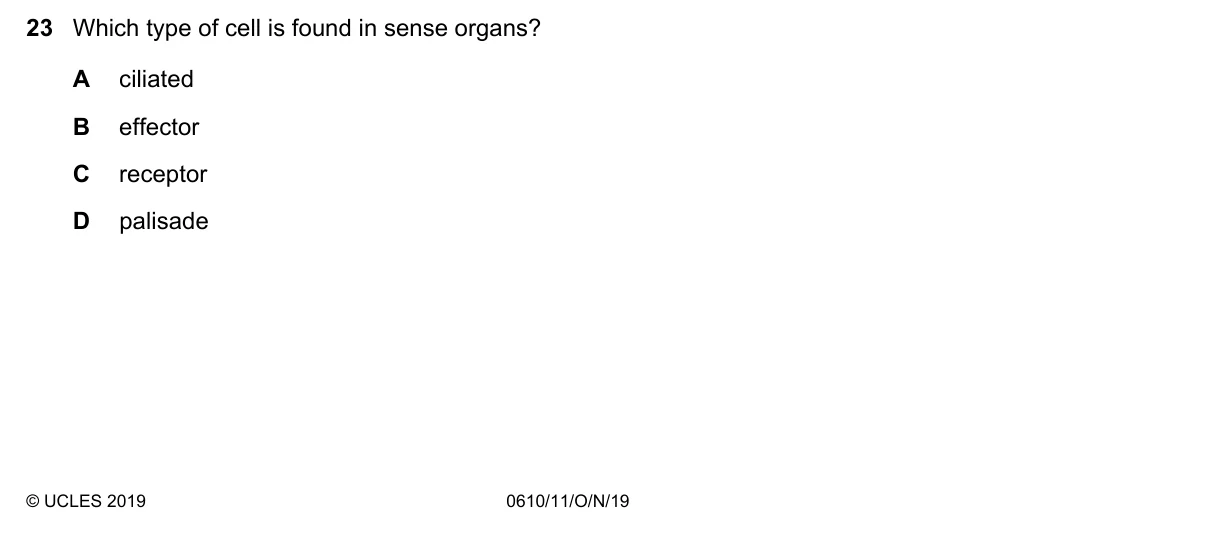 Question 23, November 2019, 0610 Paper 11