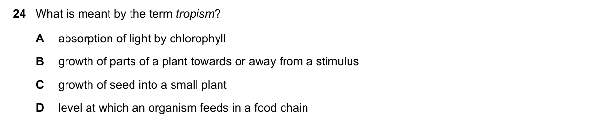 Question 24, November 2019, 0610 Paper 11