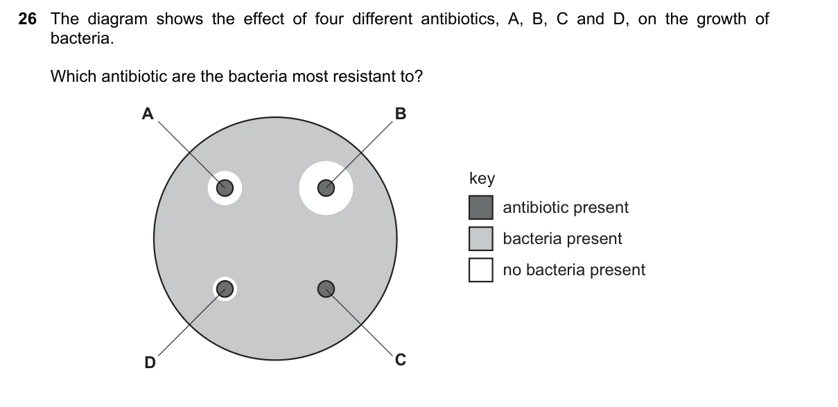 Question 26, November 2019, 0610 Paper 11