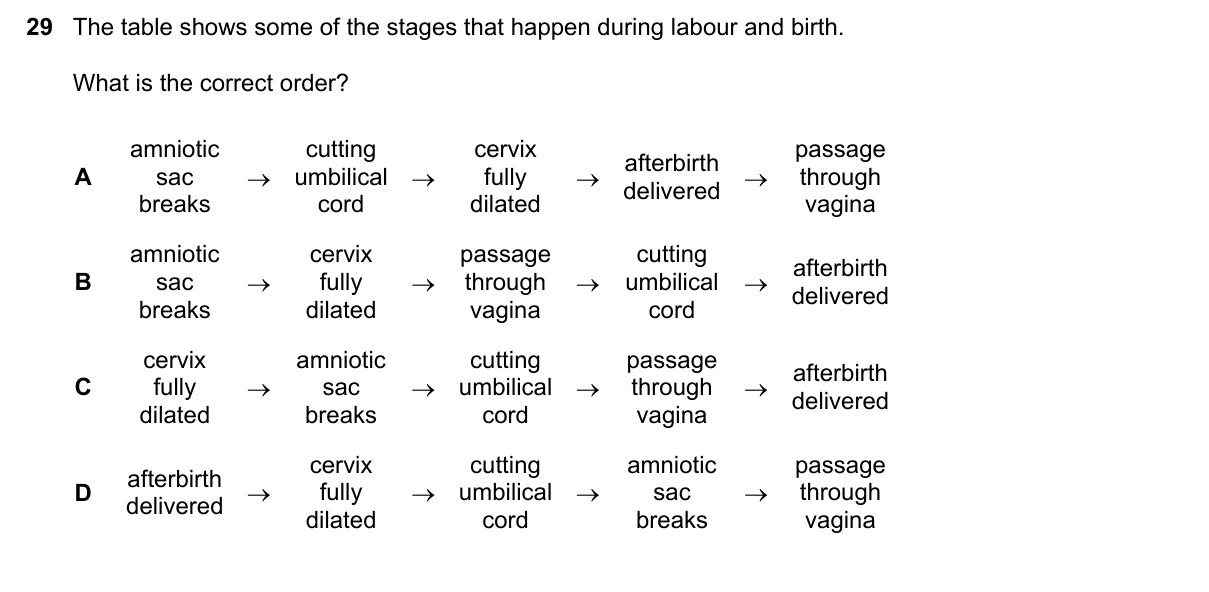 Question 29, November 2019, 0610 Paper 11