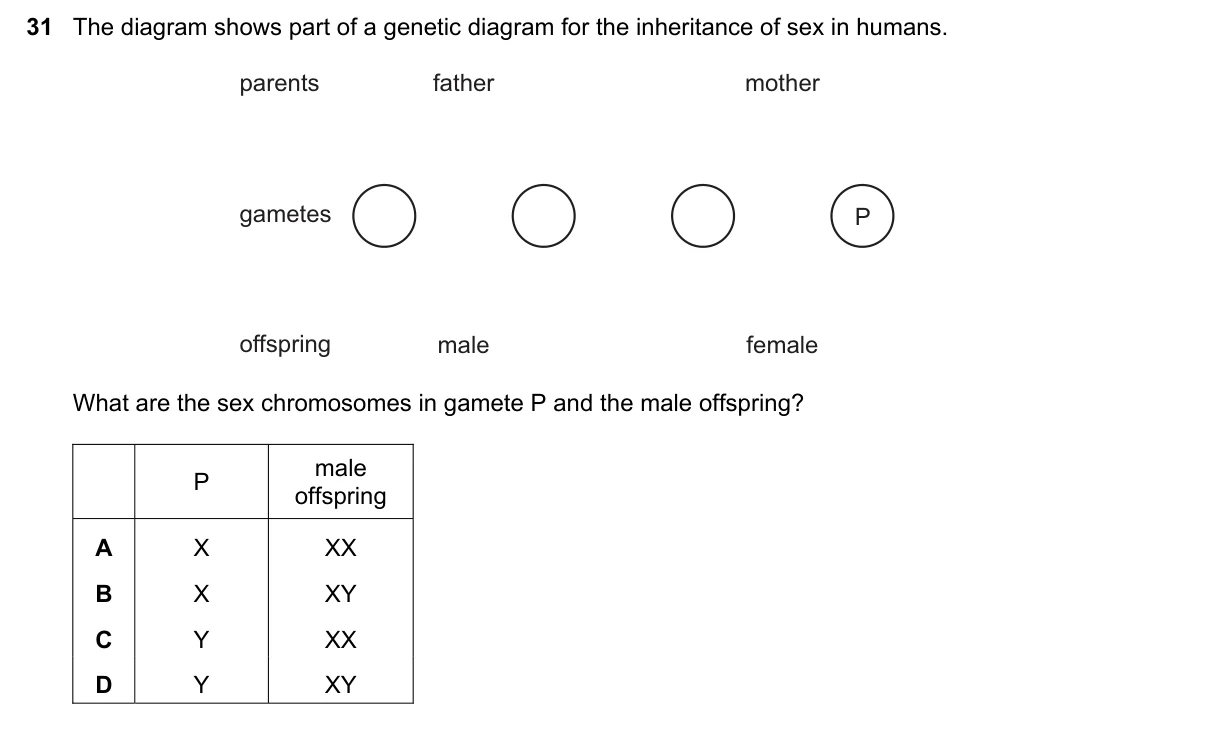 Question 31, November 2019, 0610 Paper 11