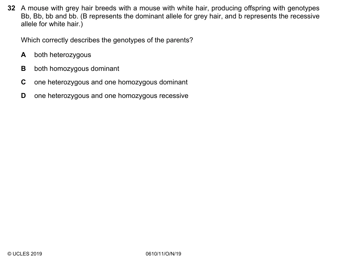 Question 32, November 2019, 0610 Paper 11