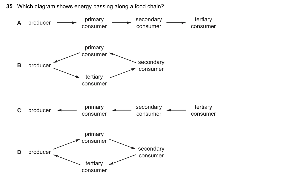 Question 35, November 2019, 0610 Paper 11