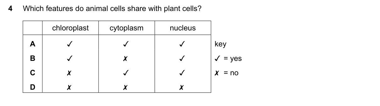 Question 4, November 2019, 0610 Paper 11
