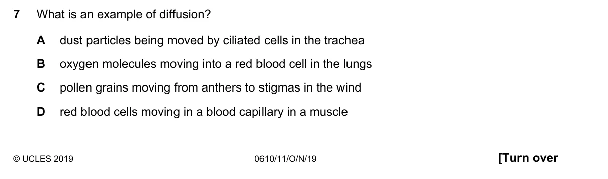 Question 7, November 2019, 0610 Paper 11